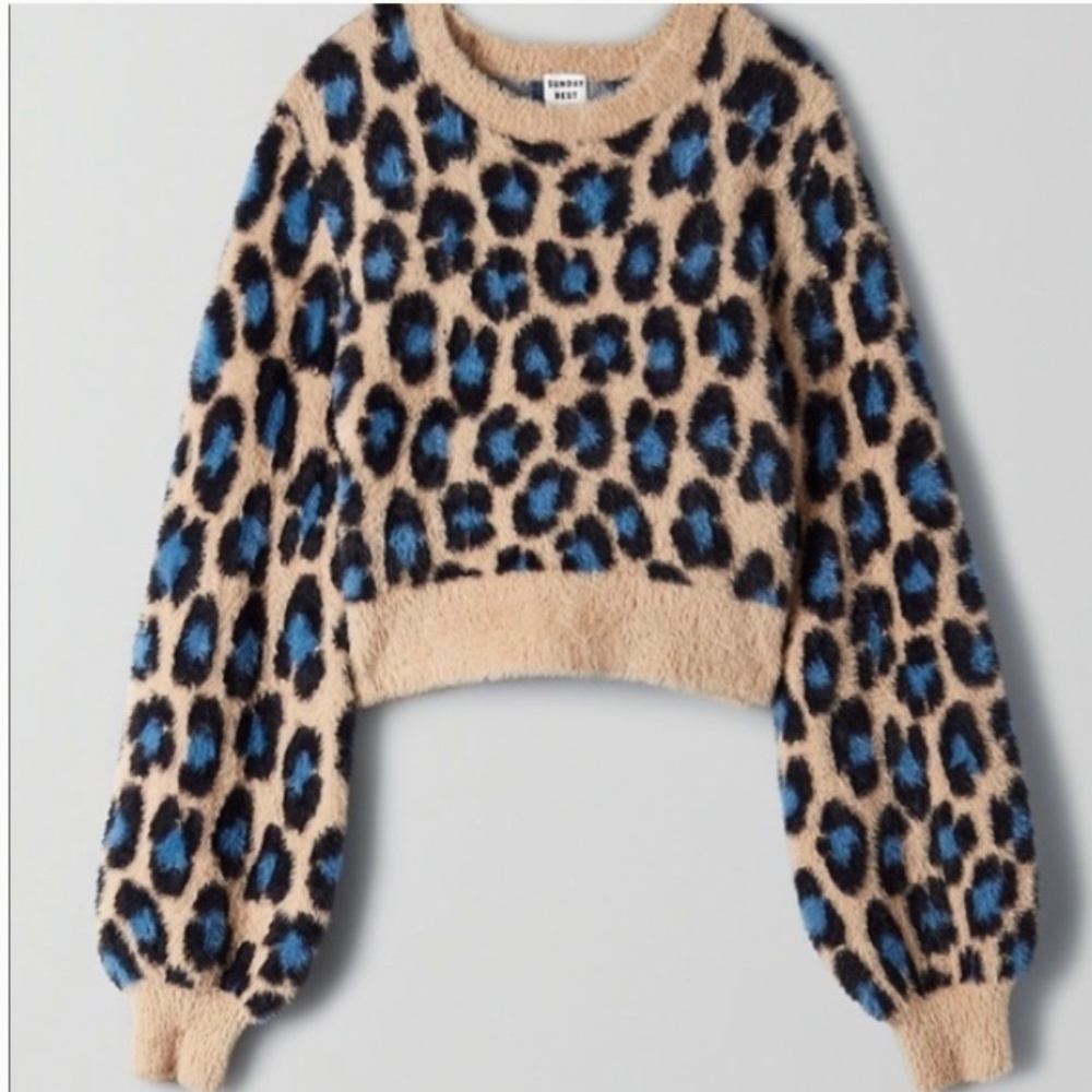 ❄️ Aritzia Sunday Best Kitten Sweater